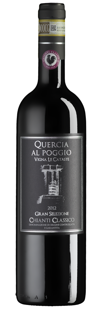 Chianti Classico Gran Selezione
Vigna le Cataste DOCG