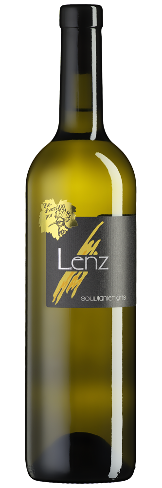 Souvignier Gris VdP